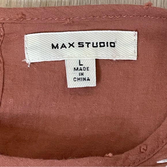 Max Studio Women’s Embroidered Peasant Blouse Swiss Dot Top Size Large - Picture 10 of 10